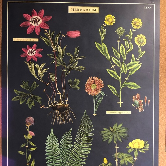 Meet your Posher, Déva - Picture 3 of 4